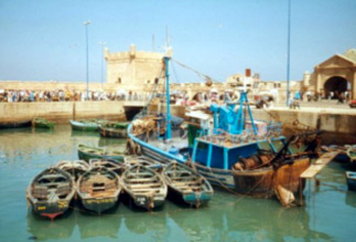 Essaouira excursion Morocco